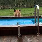 Hof Vierzehnender Im Hohen Venn - 70qm Fachwerk-studio - Grosses Wohn-schlafzimmer Mit Dachterrasse Und Kaminofen - Separate Kueche - Perfekt Fuer Paare - - Eifel - Hunde Willkommen - Islandpferde