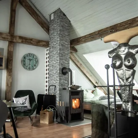 Hof Vierzehnender Im Hohen Venn - 70qm Fachwerk-studio - Grosses Wohn-schlafzimmer Mit Dachterrasse Und Kaminofen - Separate Kueche - Perfekt Fuer Paare - - Eifel - Hunde Willkommen - Islandpferde *