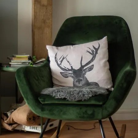 아파트 Hof Vierzehnender Im Hohen Venn - 70qm Fachwerk-studio - Grosses Wohn-schlafzimmer Mit Dachterrasse Und Kaminofen - Separate Kueche - Perfekt Fuer Paare - - Eifel - Hunde Willkommen - Islandpferde