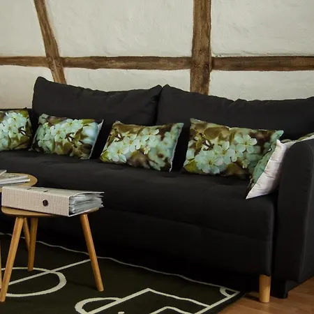 Hof Vierzehnender Im Hohen Venn - 70qm Fachwerk-studio - Grosses Wohn-schlafzimmer Mit Dachterrasse Und Kaminofen - Separate Kueche - Perfekt Fuer Paare - - Eifel - Hunde Willkommen - Islandpferde