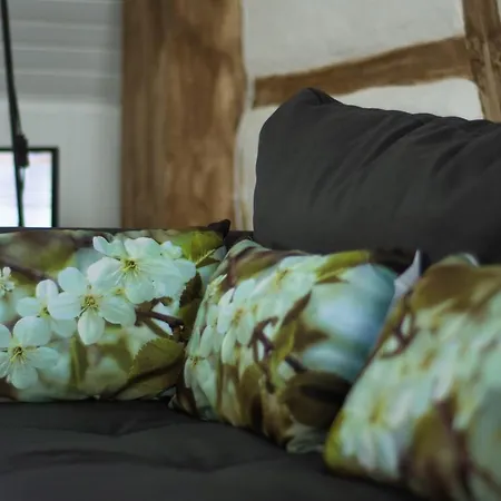 Hof Vierzehnender Im Hohen Venn - 70qm Fachwerk-studio - Grosses Wohn-schlafzimmer Mit Dachterrasse Und Kaminofen - Separate Kueche - Perfekt Fuer Paare - - Eifel - Hunde Willkommen - Islandpferde