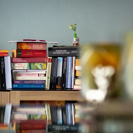 Apartmán Hof Vierzehnender Im Hohen Venn - 70qm Fachwerk-studio - Grosses Wohn-schlafzimmer Mit Dachterrasse Und Kaminofen - Separate Kueche - Perfekt Fuer Paare - - Eifel - Hunde Willkommen - Islandpferde Monschau