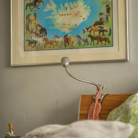 Hof Vierzehnender Im Hohen Venn - 70qm Fachwerk-studio - Grosses Wohn-schlafzimmer Mit Dachterrasse Und Kaminofen - Separate Kueche - Perfekt Fuer Paare - - Eifel - Hunde Willkommen - Islandpferde Monschau