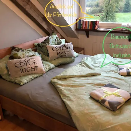 Hof Vierzehnender Im Hohen Venn - 70qm Fachwerk-studio - Grosses Wohn-schlafzimmer Mit Dachterrasse Und Kaminofen - Separate Kueche - Perfekt Fuer Paare - - Eifel - Hunde Willkommen - Islandpferde * Monschau