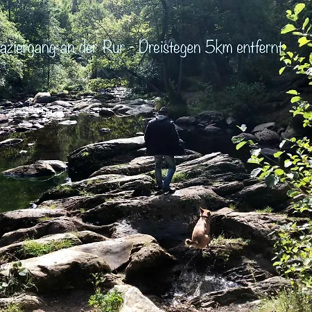Hof Vierzehnender Im Hohen Venn - 70qm Fachwerk-studio - Grosses Wohn-schlafzimmer Mit Dachterrasse Und Kaminofen - Separate Kueche - Perfekt Fuer Paare - - Eifel - Hunde Willkommen - Islandpferde 아파트