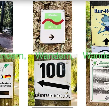 Hof Vierzehnender Im Hohen Venn - 70qm Fachwerk-studio - Grosses Wohn-schlafzimmer Mit Dachterrasse Und Kaminofen - Separate Kueche - Perfekt Fuer Paare - - Eifel - Hunde Willkommen - Islandpferde