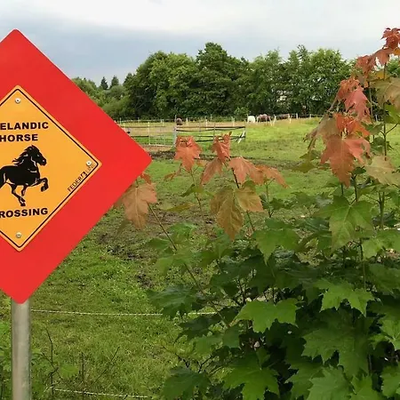Hof Vierzehnender Im Hohen Venn - 70qm Fachwerk-studio - Grosses Wohn-schlafzimmer Mit Dachterrasse Und Kaminofen - Separate Kueche - Perfekt Fuer Paare - - Eifel - Hunde Willkommen - Islandpferde 아파트 *