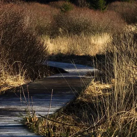 Hof Vierzehnender Im Hohen Venn - 70qm Fachwerk-studio - Grosses Wohn-schlafzimmer Mit Dachterrasse Und Kaminofen - Separate Kueche - Perfekt Fuer Paare - - Eifel - Hunde Willkommen - Islandpferde 아파트