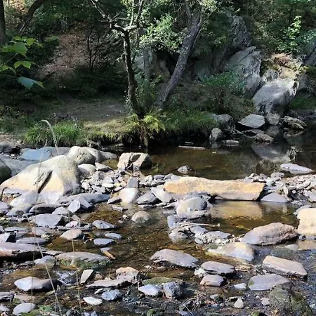 아파트 Hof Vierzehnender Im Hohen Venn - 70qm Fachwerk-studio - Grosses Wohn-schlafzimmer Mit Dachterrasse Und Kaminofen - Separate Kueche - Perfekt Fuer Paare - - Eifel - Hunde Willkommen - Islandpferde *