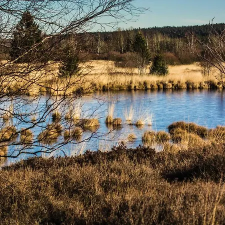 Hof Vierzehnender Im Hohen Venn - 70qm Fachwerk-studio - Grosses Wohn-schlafzimmer Mit Dachterrasse Und Kaminofen - Separate Kueche - Perfekt Fuer Paare - - Eifel - Hunde Willkommen - Islandpferde Apartmán Monschau