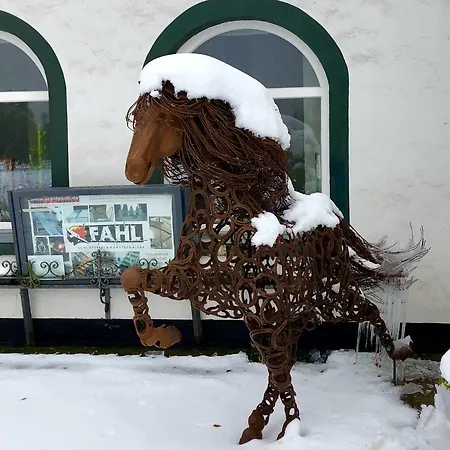 Hof Vierzehnender Im Hohen Venn - 70qm Fachwerk-studio - Grosses Wohn-schlafzimmer Mit Dachterrasse Und Kaminofen - Separate Kueche - Perfekt Fuer Paare - - Eifel - Hunde Willkommen - Islandpferde Apartament *
