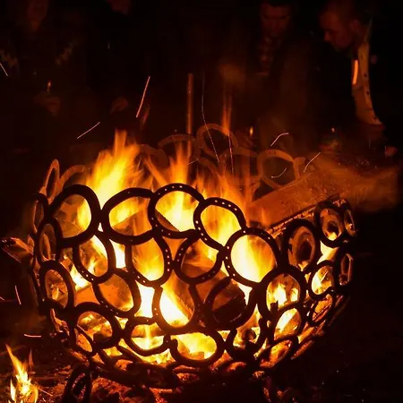 Apartament Hof Vierzehnender Im Hohen Venn - 70qm Fachwerk-studio - Grosses Wohn-schlafzimmer Mit Dachterrasse Und Kaminofen - Separate Kueche - Perfekt Fuer Paare - - Eifel - Hunde Willkommen - Islandpferde *