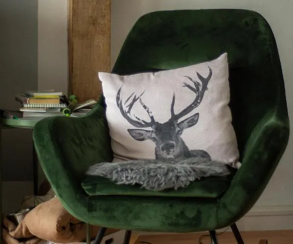 公寓 Hof Vierzehnender Im Hohen Venn - 70qm Fachwerk-studio - Grosses Wohn-schlafzimmer Mit Dachterrasse Und Kaminofen - Separate Kueche - Perfekt Fuer Paare - - Eifel - Hunde Willkommen - Islandpferde