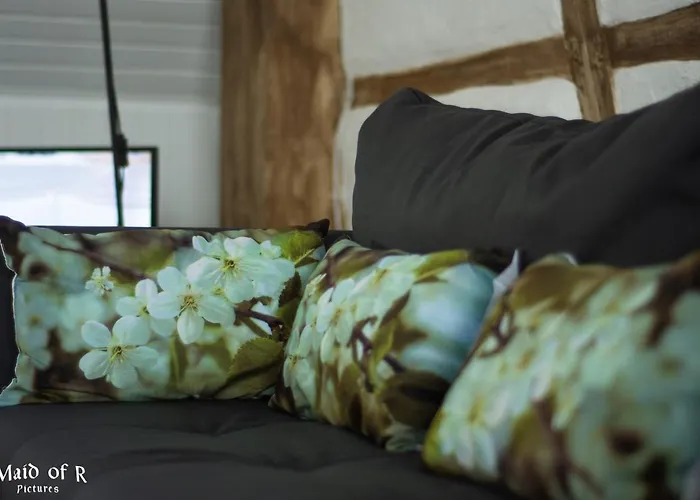 Hof Vierzehnender Im Hohen Venn - 70qm Fachwerk-studio - Grosses Wohn-schlafzimmer Mit Dachterrasse Und Kaminofen - Separate Kueche - Perfekt Fuer Paare - - Eifel - Hunde Willkommen - Islandpferde