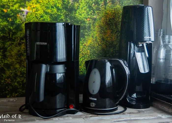 公寓 Hof Vierzehnender Im Hohen Venn - 70qm Fachwerk-studio - Grosses Wohn-schlafzimmer Mit Dachterrasse Und Kaminofen - Separate Kueche - Perfekt Fuer Paare - - Eifel - Hunde Willkommen - Islandpferde