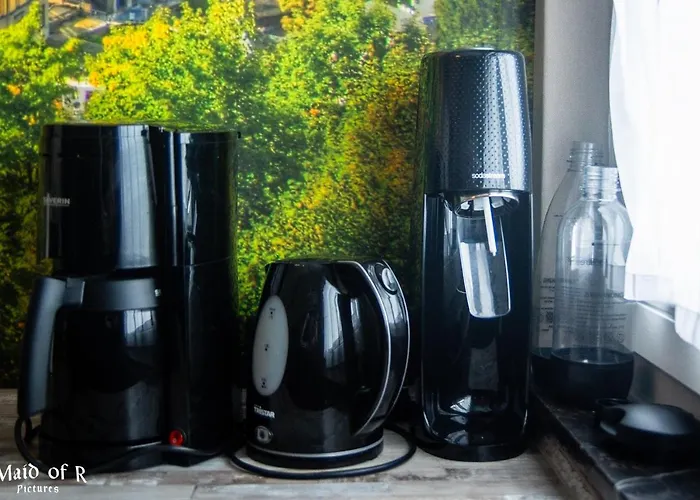 Hof Vierzehnender Im Hohen Venn - 70qm Fachwerk-studio - Grosses Wohn-schlafzimmer Mit Dachterrasse Und Kaminofen - Separate Kueche - Perfekt Fuer Paare - - Eifel - Hunde Willkommen - Islandpferde * 蒙绍