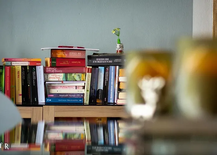 公寓 Hof Vierzehnender Im Hohen Venn - 70qm Fachwerk-studio - Grosses Wohn-schlafzimmer Mit Dachterrasse Und Kaminofen - Separate Kueche - Perfekt Fuer Paare - - Eifel - Hunde Willkommen - Islandpferde 蒙绍