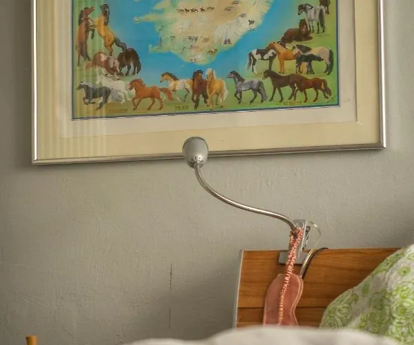 Hof Vierzehnender Im Hohen Venn - 70qm Fachwerk-studio - Grosses Wohn-schlafzimmer Mit Dachterrasse Und Kaminofen - Separate Kueche - Perfekt Fuer Paare - - Eifel - Hunde Willkommen - Islandpferde 蒙绍