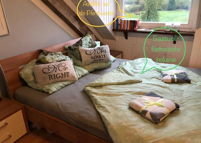 Hof Vierzehnender Im Hohen Venn - 70qm Fachwerk-studio - Grosses Wohn-schlafzimmer Mit Dachterrasse Und Kaminofen - Separate Kueche - Perfekt Fuer Paare - - Eifel - Hunde Willkommen - Islandpferde * 蒙绍