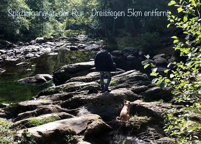 Hof Vierzehnender Im Hohen Venn - 70qm Fachwerk-studio - Grosses Wohn-schlafzimmer Mit Dachterrasse Und Kaminofen - Separate Kueche - Perfekt Fuer Paare - - Eifel - Hunde Willkommen - Islandpferde 公寓