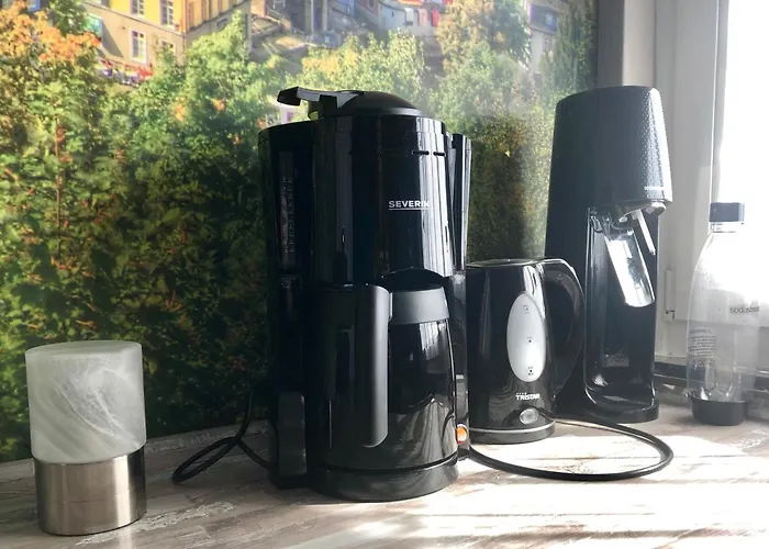 Hof Vierzehnender Im Hohen Venn - 70qm Fachwerk-studio - Grosses Wohn-schlafzimmer Mit Dachterrasse Und Kaminofen - Separate Kueche - Perfekt Fuer Paare - - Eifel - Hunde Willkommen - Islandpferde 蒙绍