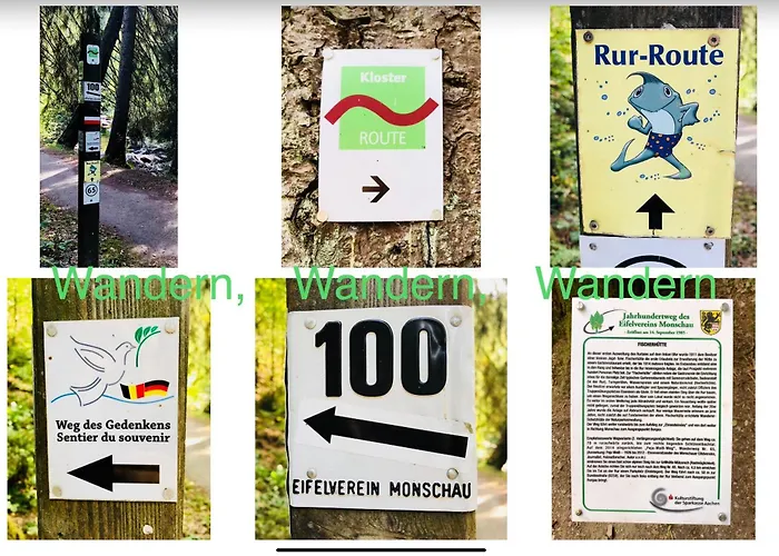 Hof Vierzehnender Im Hohen Venn - 70qm Fachwerk-studio - Grosses Wohn-schlafzimmer Mit Dachterrasse Und Kaminofen - Separate Kueche - Perfekt Fuer Paare - - Eifel - Hunde Willkommen - Islandpferde