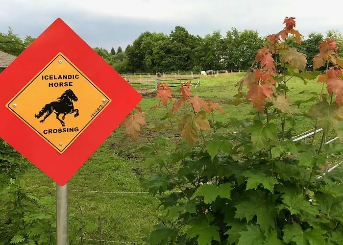 Hof Vierzehnender Im Hohen Venn - 70qm Fachwerk-studio - Grosses Wohn-schlafzimmer Mit Dachterrasse Und Kaminofen - Separate Kueche - Perfekt Fuer Paare - - Eifel - Hunde Willkommen - Islandpferde 公寓 *