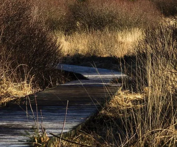 Hof Vierzehnender Im Hohen Venn - 70qm Fachwerk-studio - Grosses Wohn-schlafzimmer Mit Dachterrasse Und Kaminofen - Separate Kueche - Perfekt Fuer Paare - - Eifel - Hunde Willkommen - Islandpferde 公寓