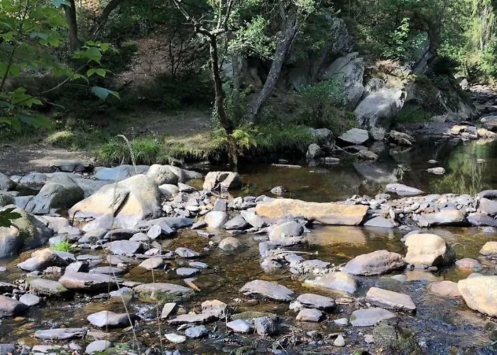 公寓 Hof Vierzehnender Im Hohen Venn - 70qm Fachwerk-studio - Grosses Wohn-schlafzimmer Mit Dachterrasse Und Kaminofen - Separate Kueche - Perfekt Fuer Paare - - Eifel - Hunde Willkommen - Islandpferde *