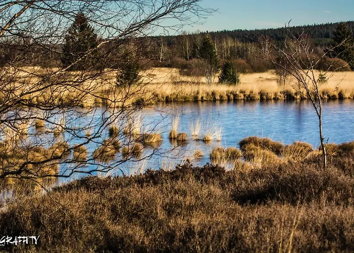 Hof Vierzehnender Im Hohen Venn - 70qm Fachwerk-studio - Grosses Wohn-schlafzimmer Mit Dachterrasse Und Kaminofen - Separate Kueche - Perfekt Fuer Paare - - Eifel - Hunde Willkommen - Islandpferde 公寓 蒙绍