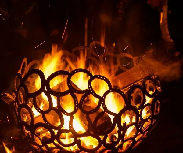 公寓 Hof Vierzehnender Im Hohen Venn - 70qm Fachwerk-studio - Grosses Wohn-schlafzimmer Mit Dachterrasse Und Kaminofen - Separate Kueche - Perfekt Fuer Paare - - Eifel - Hunde Willkommen - Islandpferde *